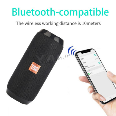 Enceinte Bluetooth Stéréo Surround Haut-parleurs Portables Étanche Avec Lecteur Carte Mémoire TF et Radio FM12