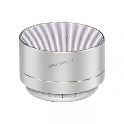 Mini Haut-parleur Portable Puissant Bluetooth En Acier Lecteur Avec Lecteur Carte TF5