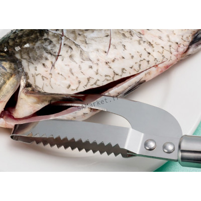 Couteau 23cm avec râpe pour nettoyage du poisson et des écailles de poisson3