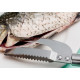 Couteau 23cm avec râpe pour nettoyage du poisson et des écailles de poisson12