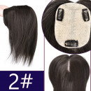 Cheveux synthétiques extensions pour femmes postiche dentelle brune blonde châtain 30cm46